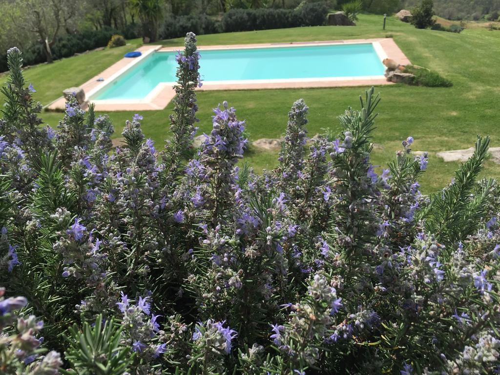 Agriturismo Podere S. Croce Saturnia Exterior foto